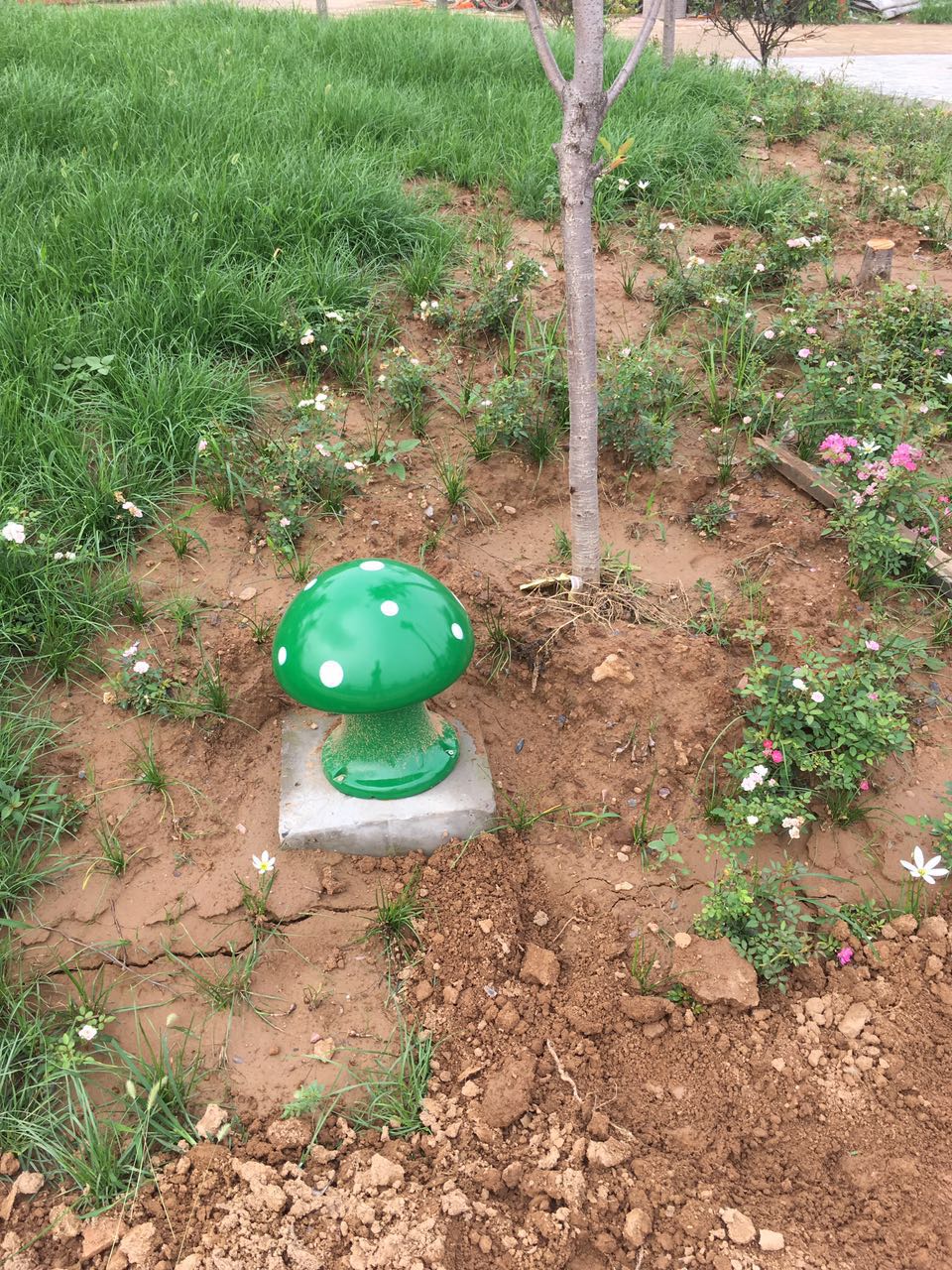 Z6尊龙旗舰厅(中国)官方网站