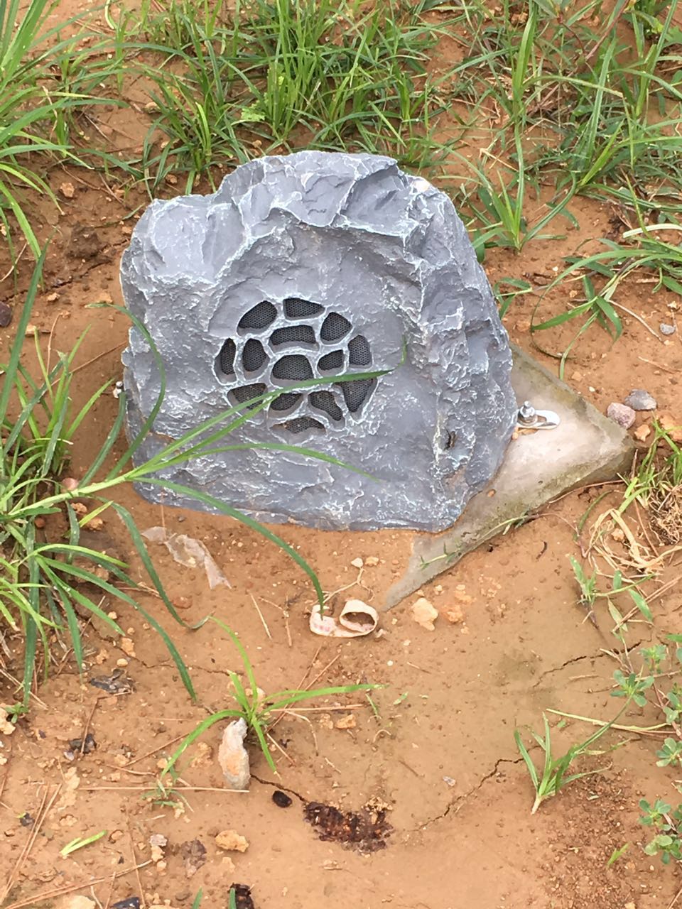 Z6尊龙旗舰厅(中国)官方网站